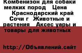 Комбенизон для собаки мелких пород › Цена ­ 650 - Краснодарский край, Сочи г. Животные и растения » Аксесcуары и товары для животных   